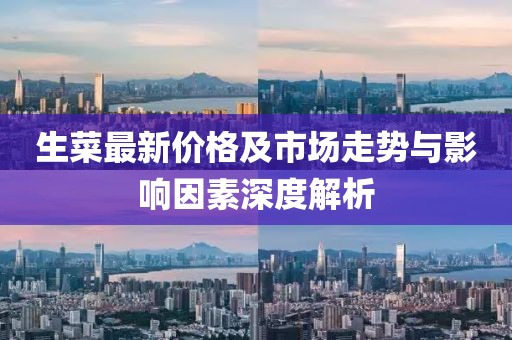 生菜最新价格及市场走势与影响因素深度解析