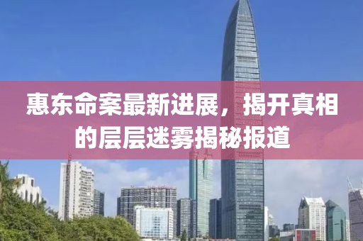 惠东命案最新进展，揭开真相的层层迷雾揭秘报道