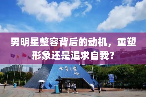 男明星整容背后的动机，重塑形象还是追求自我？