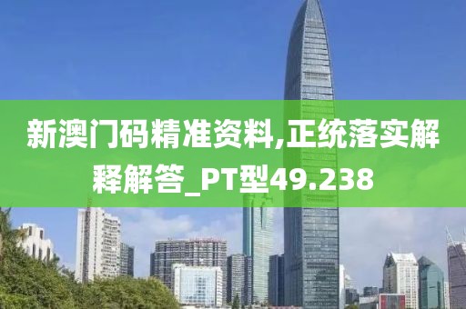 新澳门码精准资料,正统落实解释解答_PT型49.238