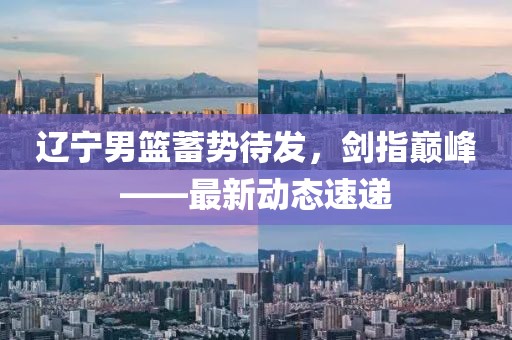 辽宁男篮蓄势待发，剑指巅峰——最新动态速递