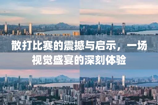 散打比赛的震撼与启示，一场视觉盛宴的深刻体验