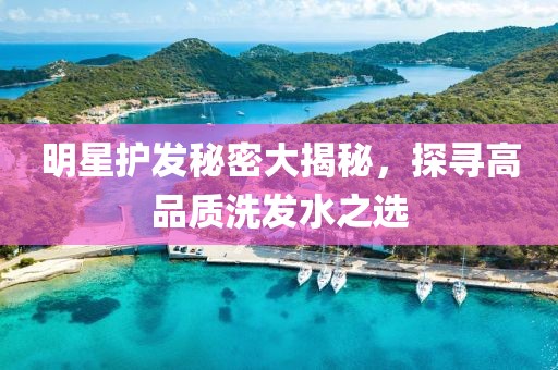 明星护发秘密大揭秘，探寻高品质洗发水之选