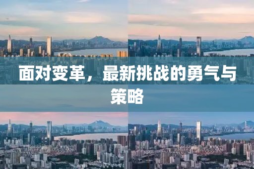 面对变革，最新挑战的勇气与策略