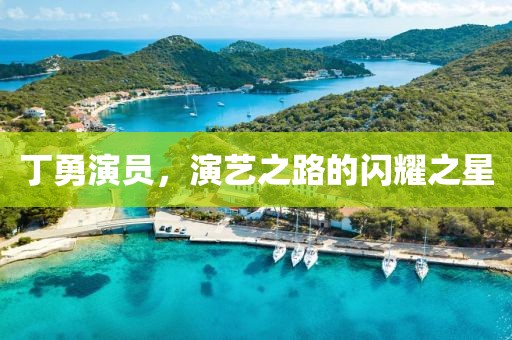 丁勇演员，演艺之路的闪耀之星