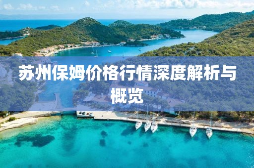 苏州保姆价格行情深度解析与概览