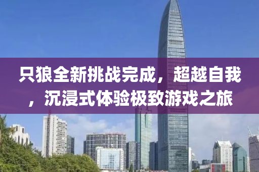 只狼全新挑战完成，超越自我，沉浸式体验极致游戏之旅