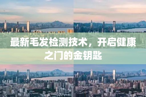 最新毛发检测技术，开启健康之门的金钥匙