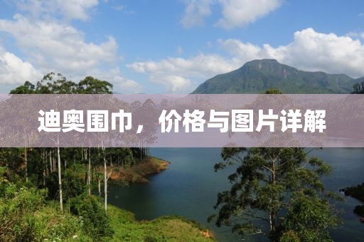 迪奥围巾，价格与图片详解