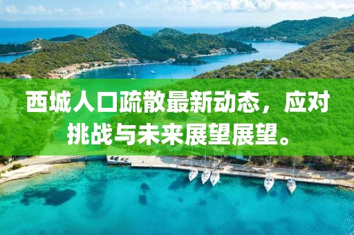 西城人口疏散最新动态，应对挑战与未来展望展望。