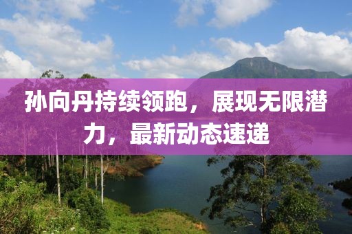 孙向丹持续领跑，展现无限潜力，最新动态速递