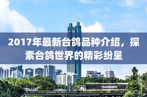 2017年最新台鸽品种介绍，探索台鸽世界的精彩纷呈