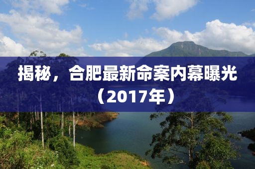 揭秘，合肥最新命案内幕曝光（2017年）
