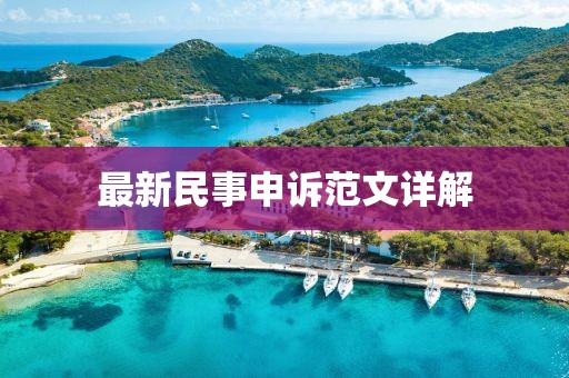 最新民事申诉范文详解