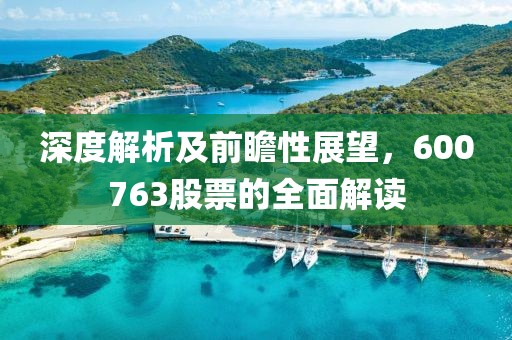 深度解析及前瞻性展望，600763股票的全面解读