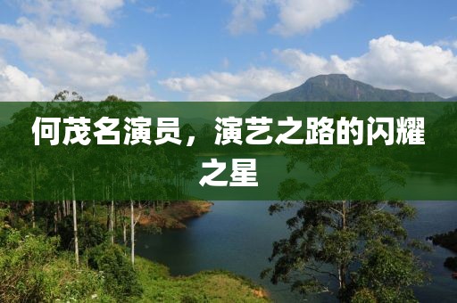 何茂名演员，演艺之路的闪耀之星