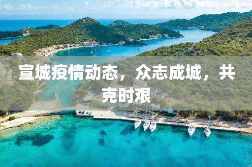 宣城疫情动态，众志成城，共克时艰