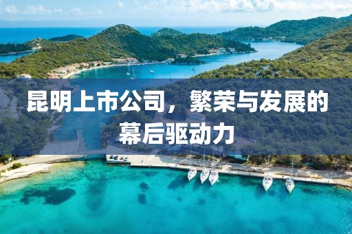 昆明上市公司，繁荣与发展的幕后驱动力