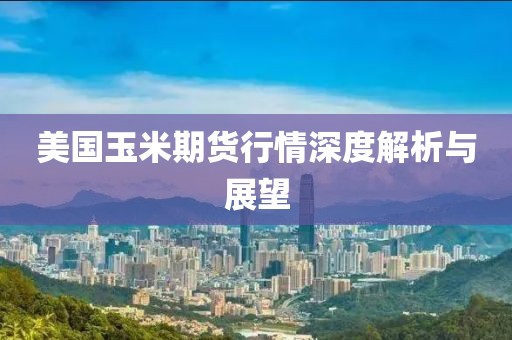 美国玉米期货行情深度解析与展望