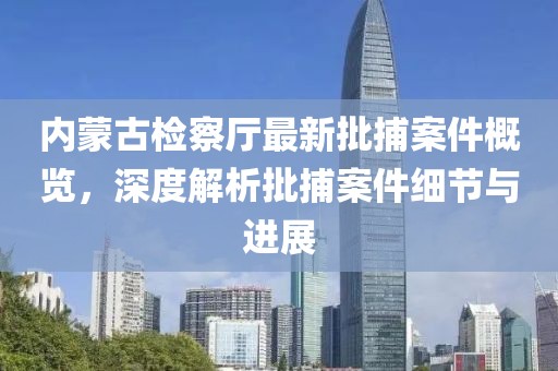 内蒙古检察厅最新批捕案件概览，深度解析批捕案件细节与进展