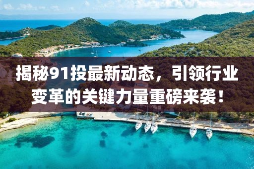 揭秘91投最新动态，引领行业变革的关键力量重磅来袭！