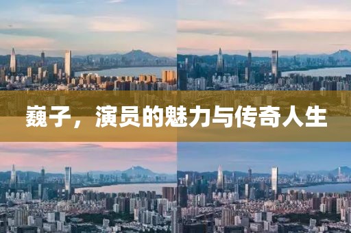 巍子，演员的魅力与传奇人生