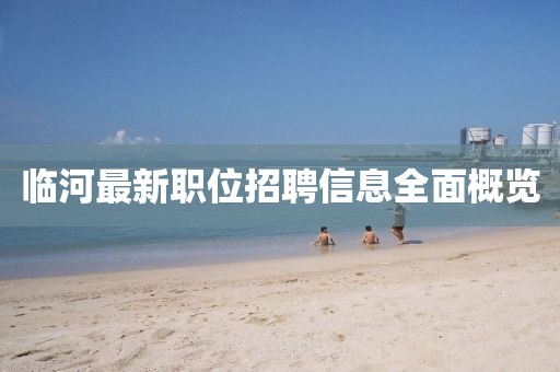 临河最新职位招聘信息全面概览