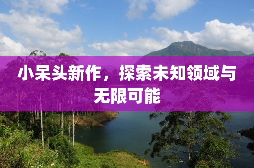 小呆头新作，探索未知领域与无限可能