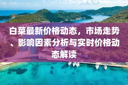 白菜最新价格动态，市场走势、影响因素分析与实时价格动态解读