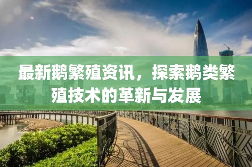 最新鹅繁殖资讯，探索鹅类繁殖技术的革新与发展
