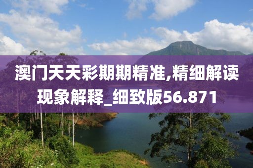 澳门天天彩期期精准,精细解读现象解释_细致版56.871