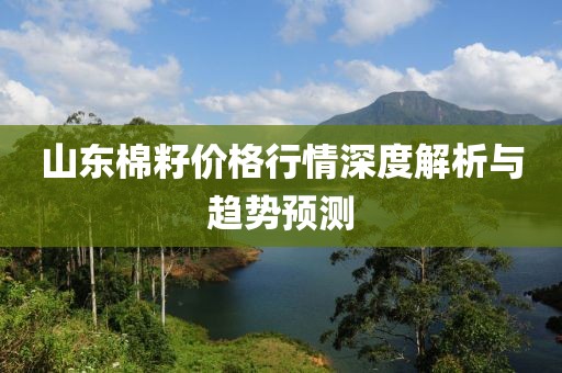 山东棉籽价格行情深度解析与趋势预测