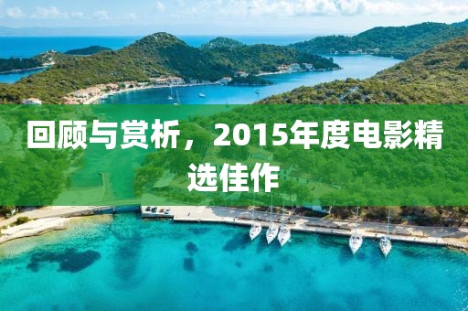回顾与赏析，2015年度电影精选佳作