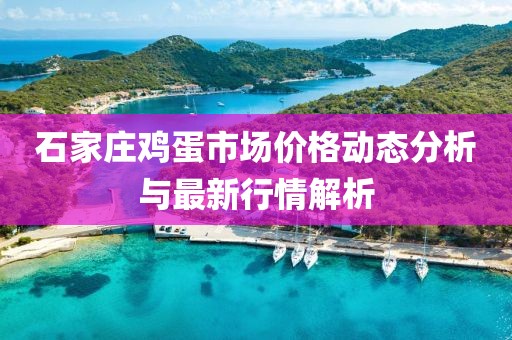 石家庄鸡蛋市场价格动态分析与最新行情解析