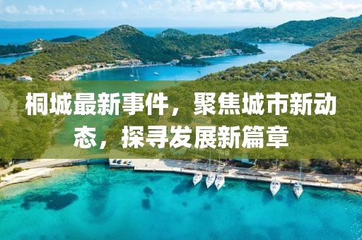 桐城最新事件，聚焦城市新动态，探寻发展新篇章
