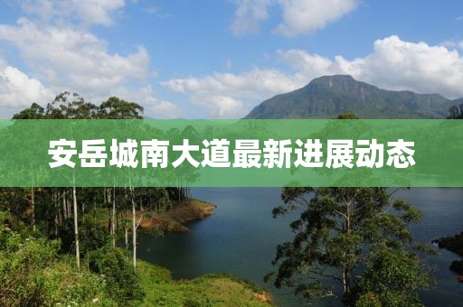 安岳城南大道最新进展动态