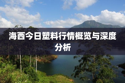 海西今日塑料行情概览与深度分析