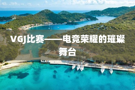 VGJ比赛——电竞荣耀的璀璨舞台
