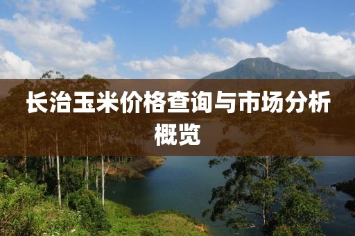 心殇 第7页
