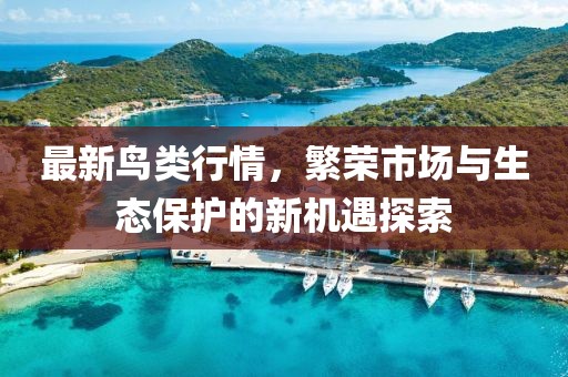 最新鸟类行情，繁荣市场与生态保护的新机遇探索