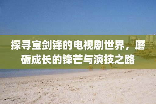 探寻宝剑锋的电视剧世界，磨砺成长的锋芒与演技之路