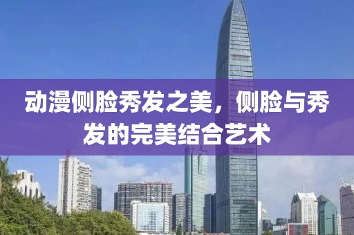 动漫侧脸秀发之美，侧脸与秀发的完美结合艺术
