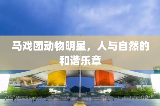 马戏团动物明星，人与自然的和谐乐章