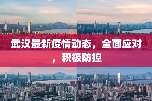 武汉最新疫情动态，全面应对，积极防控