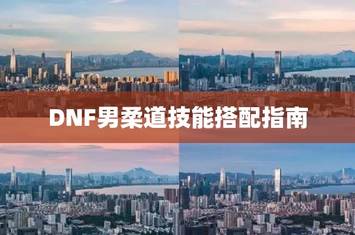 DNF男柔道技能搭配指南