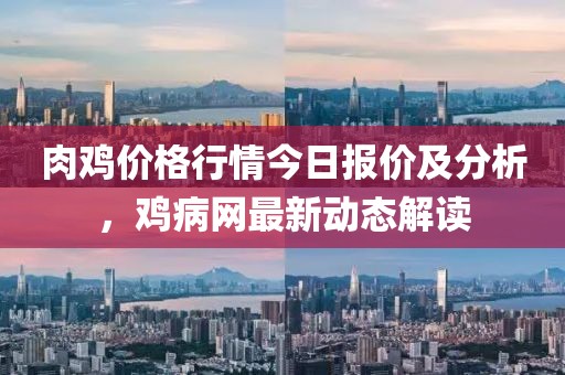 肉鸡价格行情今日报价及分析，鸡病网最新动态解读