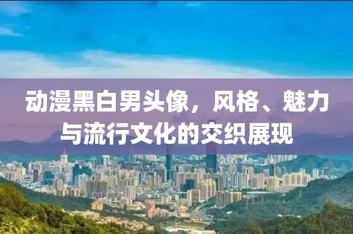 动漫黑白男头像，风格、魅力与流行文化的交织展现