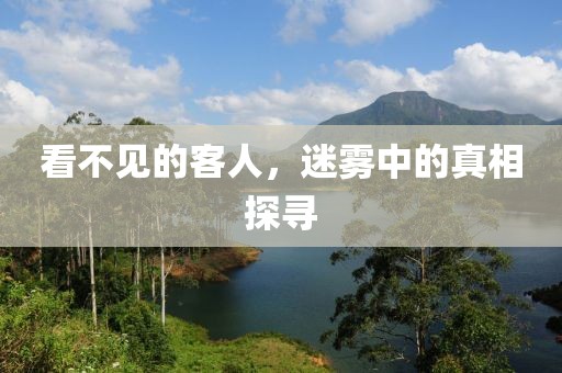 看不见的客人，迷雾中的真相探寻