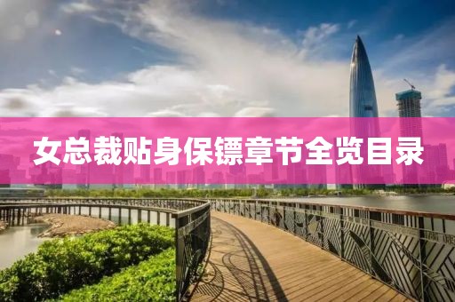 女总裁贴身保镖章节全览目录