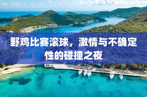 野鸡比赛滚球，激情与不确定性的碰撞之夜